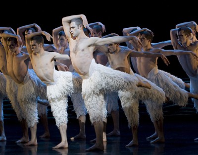 Swan Lake 3D