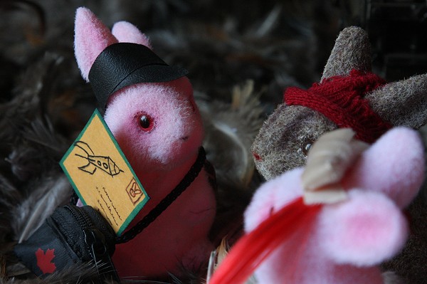Girl Bunnies, The: Rocketship